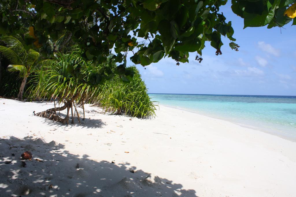 Plumeria Maldives Thinadhoo  Exteriér fotografie